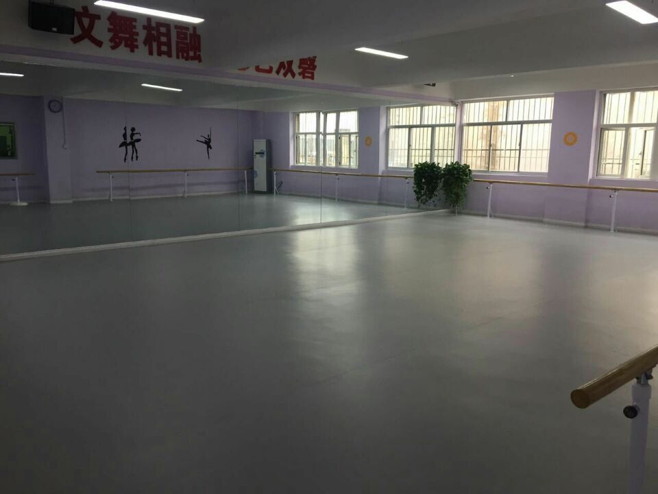 榆林舞蹈藝術(shù)學(xué)苑舞蹈室地膠成功案例