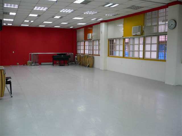 舞蹈地膠，舞蹈地膠廠家，舞蹈地膠價格，舞臺地板 