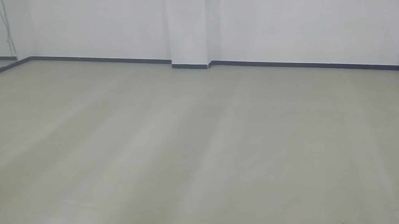 舞蹈地膠,舞蹈室地膠