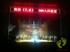 楊麗萍也用歐氏舞蹈地膠（云南楊麗萍文化傳播）